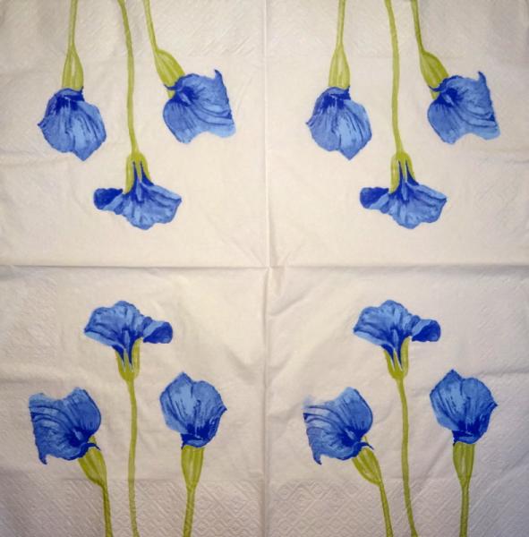 035 Calla - 3-ply